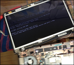 画面が表示されない
