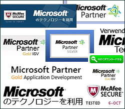 Microsoft Partner