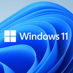Windows11